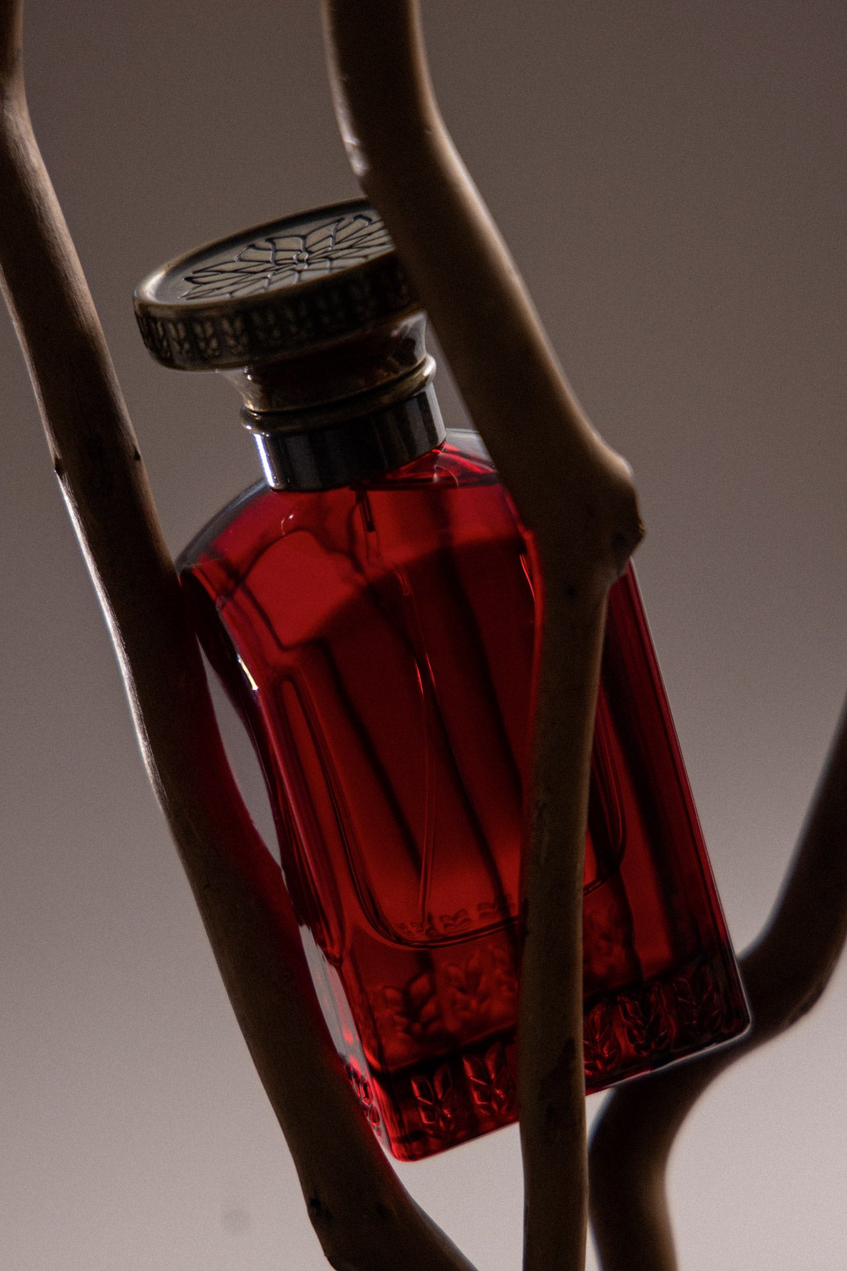Anfas Collection Shaouq extrait de parfum frisk vårduft