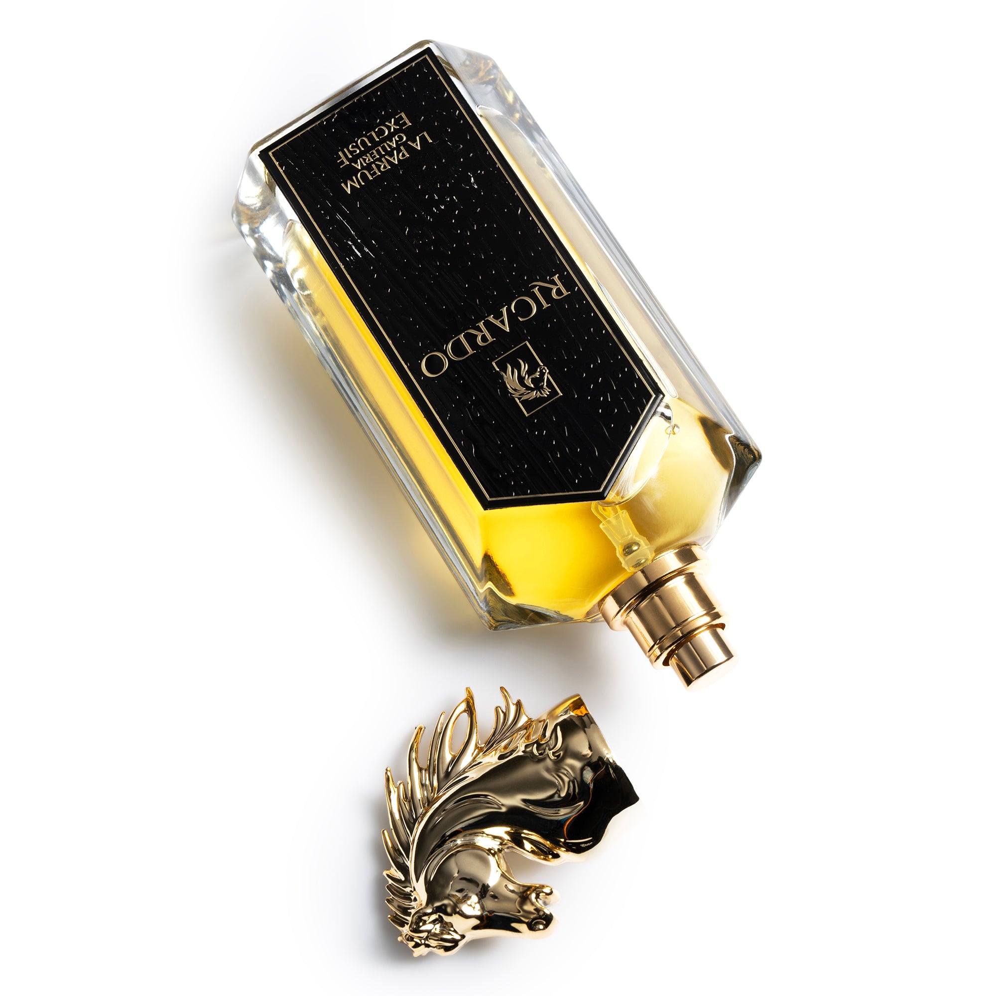 La Parfum Galleria Exclusif Ricardo eau de parfum 100 ml krydret